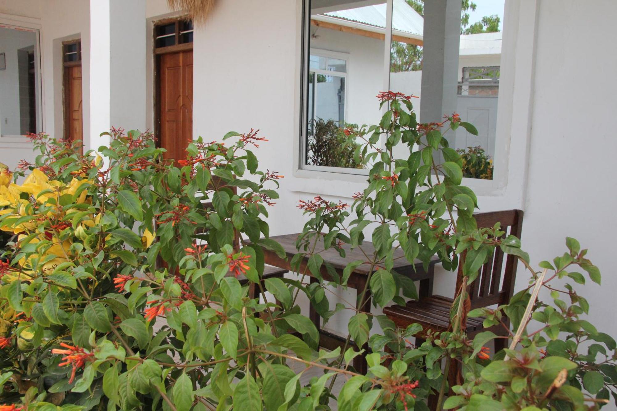 Royal House Apartamento Kinyasini